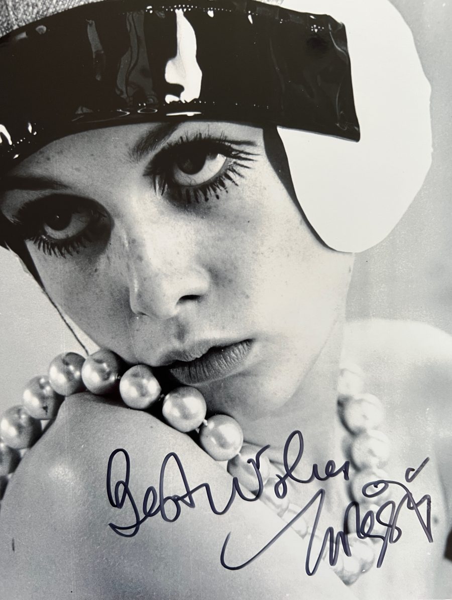 Twiggy - Image 3